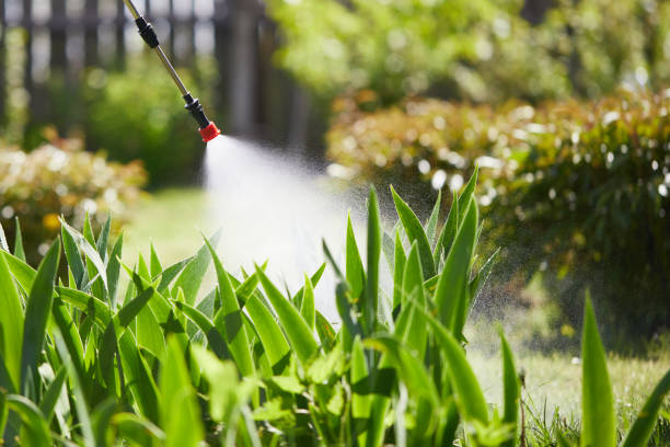 24/7 Emergency Wasp Removal experts in Springfield, MN