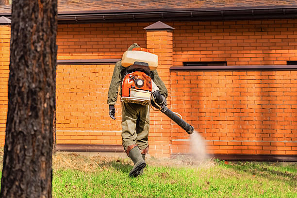 Top rated local Wasp Removal specialists in Springfield, MN